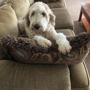 Meet your Posher, Kim